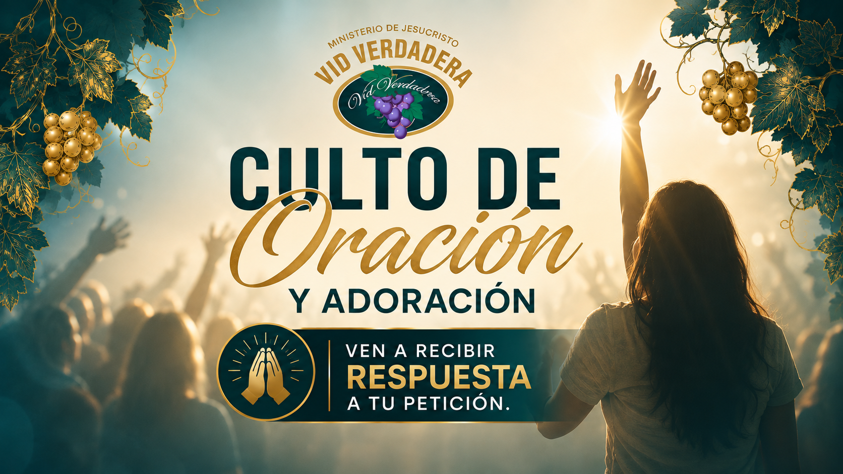Comunidad Vid Verdadera